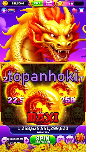 topanhoki APK
